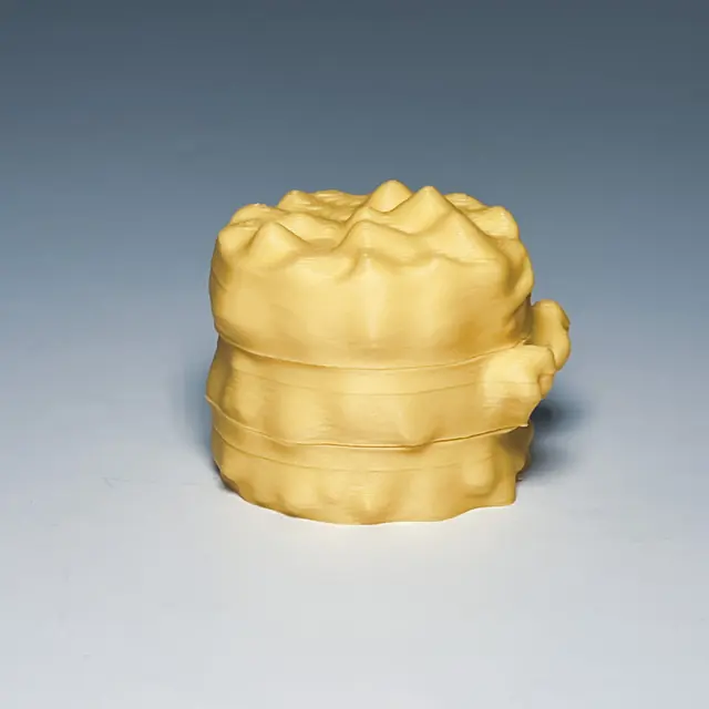 ラーバー（別の角度）